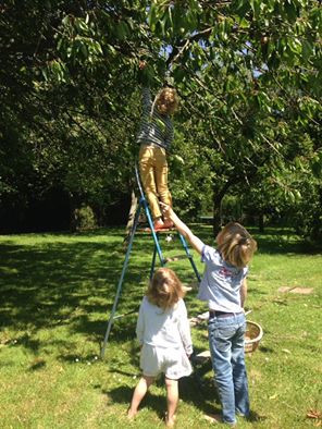 19225759_10212581091577968_5661366705237842435_n