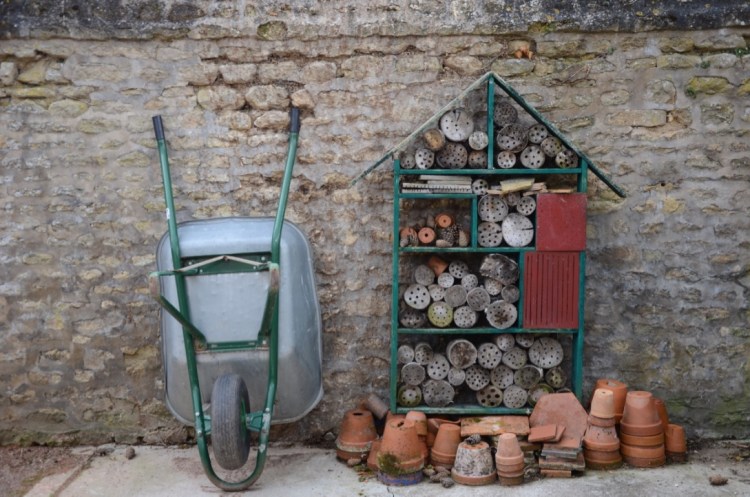 UNADJUSTEDNONRAW_thumb_8ea