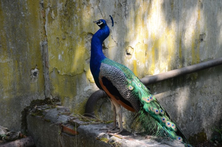 UNADJUSTEDNONRAW_thumb_b93