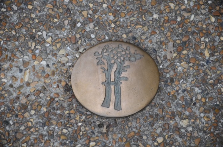 UNADJUSTEDNONRAW_thumb_ca1