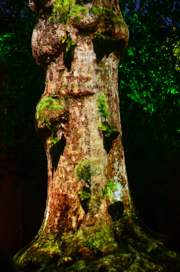 55E3B676-67B2-4699-8283-659C6BC57845